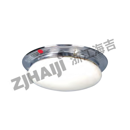 LED荧光篷顶灯