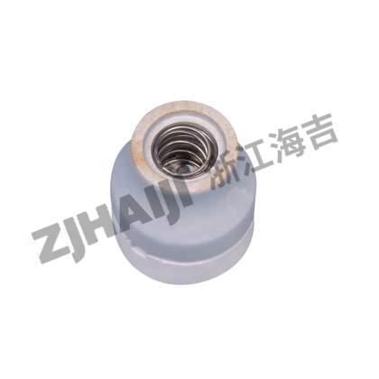 DT213防爆螺口式瓷灯座